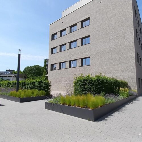 Krankenhäuser und Pflegeeinrichtungen